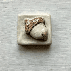 Acorn
